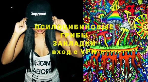 ГАЛЛЮЦИНОГЕННЫЕ ГРИБЫ Армянск