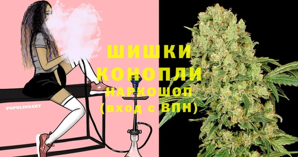 трава Аркадак