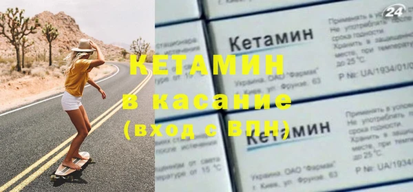 трава Аркадак