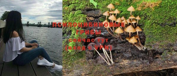 ГАЛЛЮЦИНОГЕННЫЕ ГРИБЫ Армянск