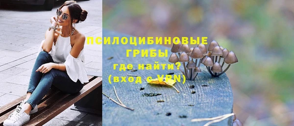 ГАЛЛЮЦИНОГЕННЫЕ ГРИБЫ Армянск