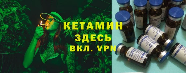 трава Аркадак