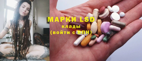 трава Аркадак